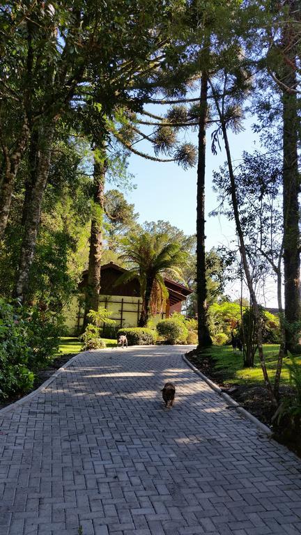 Вилла Casa Goldoni Грамаду Экстерьер фото